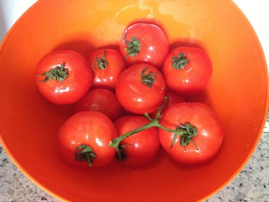 Tomates holandeses